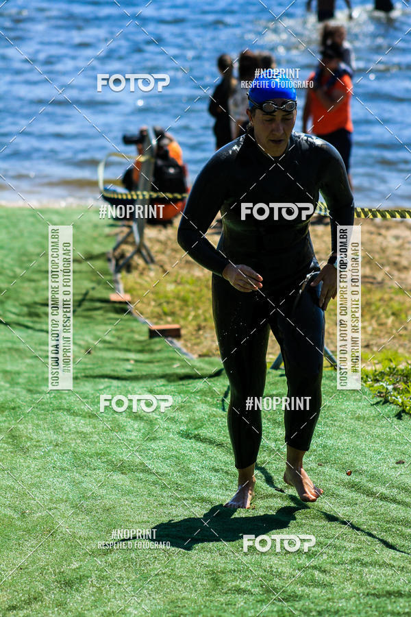 Buy your photos of the eventWolf Series - Botucatu on Fotop