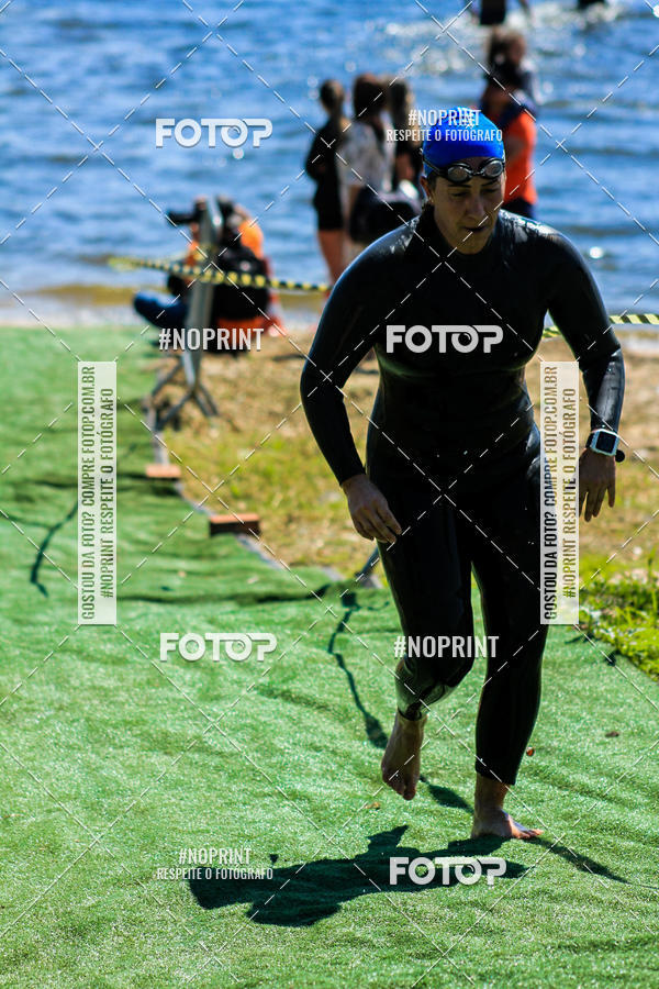 Buy your photos of the eventWolf Series - Botucatu on Fotop