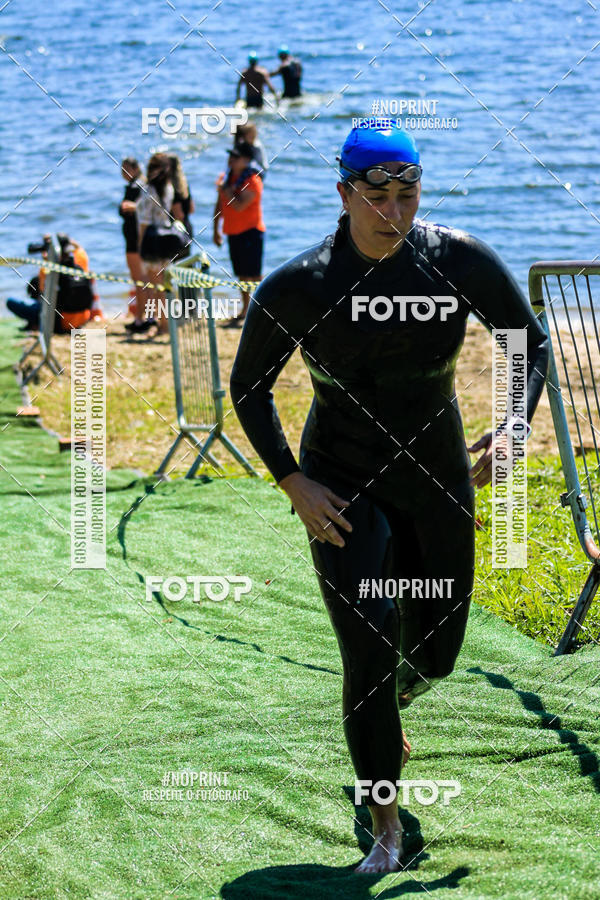 Buy your photos of the eventWolf Series - Botucatu on Fotop