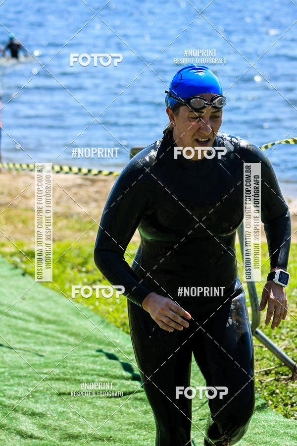 Buy your photos of the eventWolf Series - Botucatu on Fotop