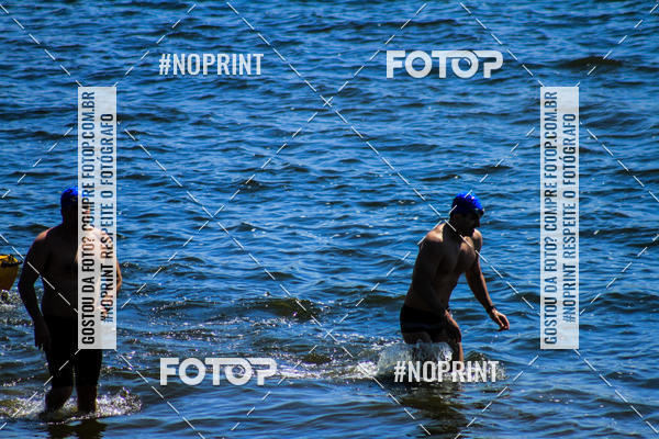 Buy your photos of the eventWolf Series - Botucatu on Fotop