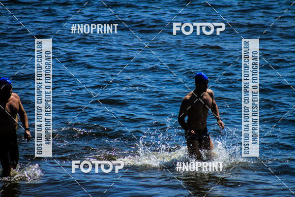 Buy your photos of the eventWolf Series - Botucatu on Fotop