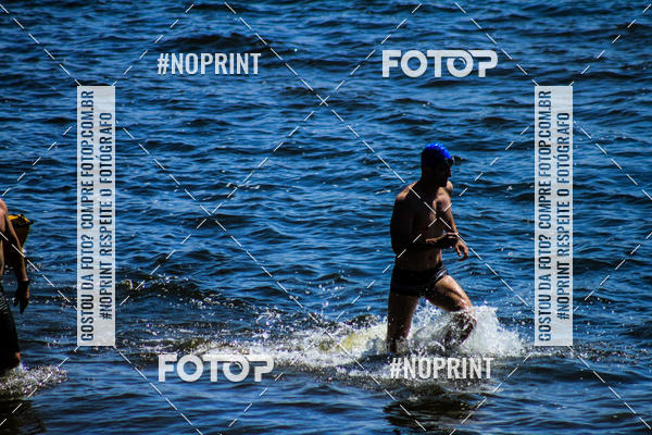 Buy your photos of the eventWolf Series - Botucatu on Fotop