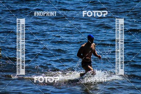 Buy your photos of the eventWolf Series - Botucatu on Fotop