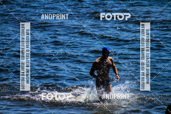 Buy your photos of the eventWolf Series - Botucatu on Fotop