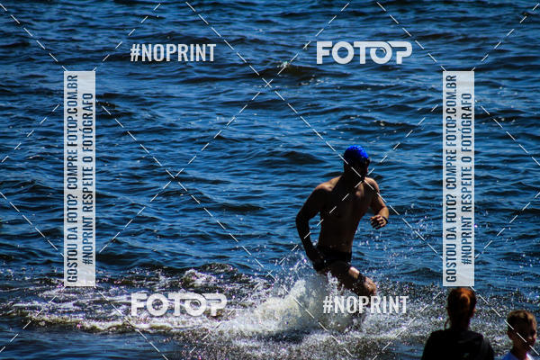 Buy your photos of the eventWolf Series - Botucatu on Fotop