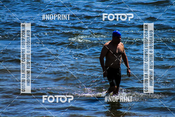 Buy your photos of the eventWolf Series - Botucatu on Fotop