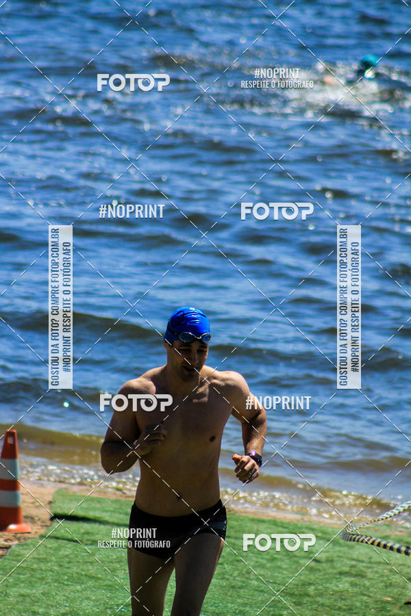 Buy your photos of the eventWolf Series - Botucatu on Fotop