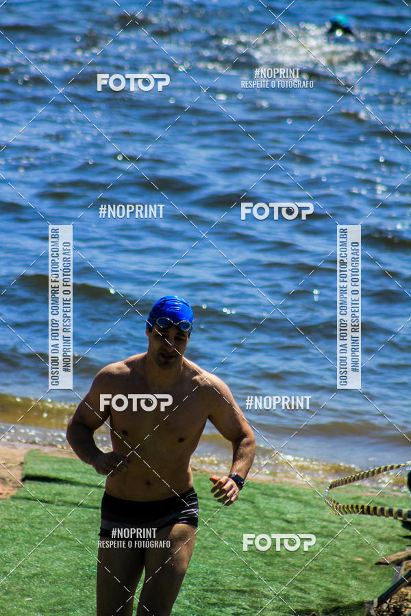 Buy your photos of the eventWolf Series - Botucatu on Fotop