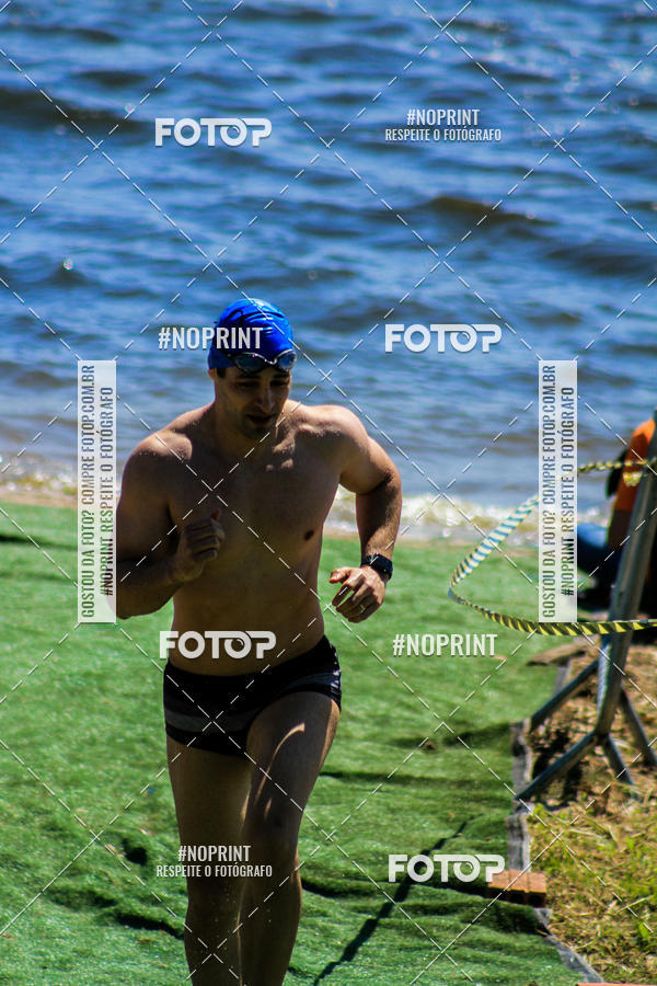 Buy your photos of the eventWolf Series - Botucatu on Fotop