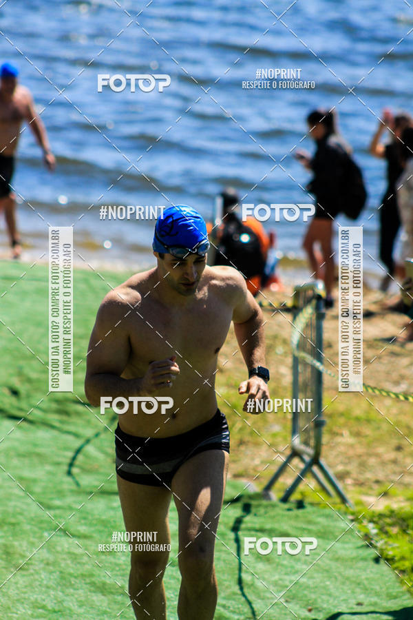 Buy your photos of the eventWolf Series - Botucatu on Fotop