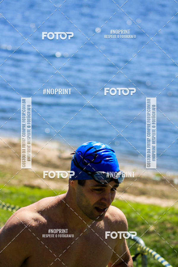 Buy your photos of the eventWolf Series - Botucatu on Fotop