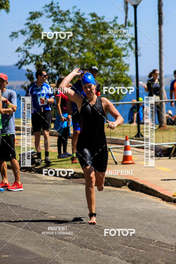 Buy your photos of the eventWolf Series - Botucatu on Fotop