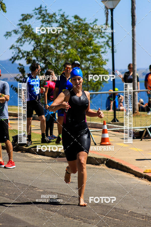 Buy your photos of the eventWolf Series - Botucatu on Fotop