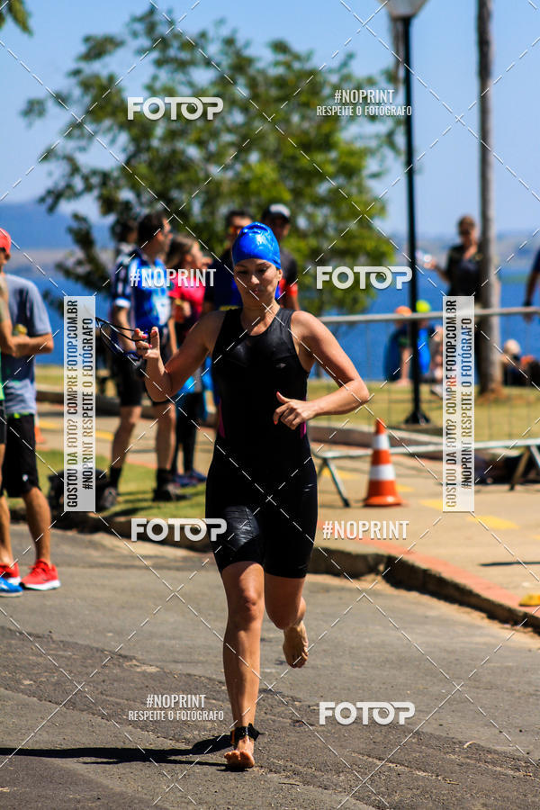 Buy your photos of the eventWolf Series - Botucatu on Fotop