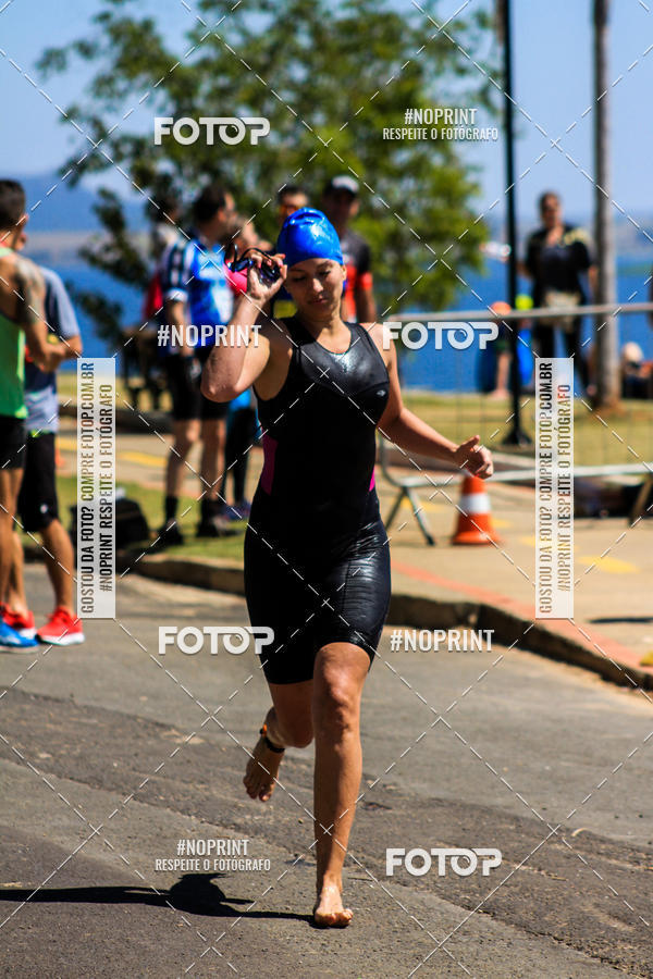 Buy your photos of the eventWolf Series - Botucatu on Fotop