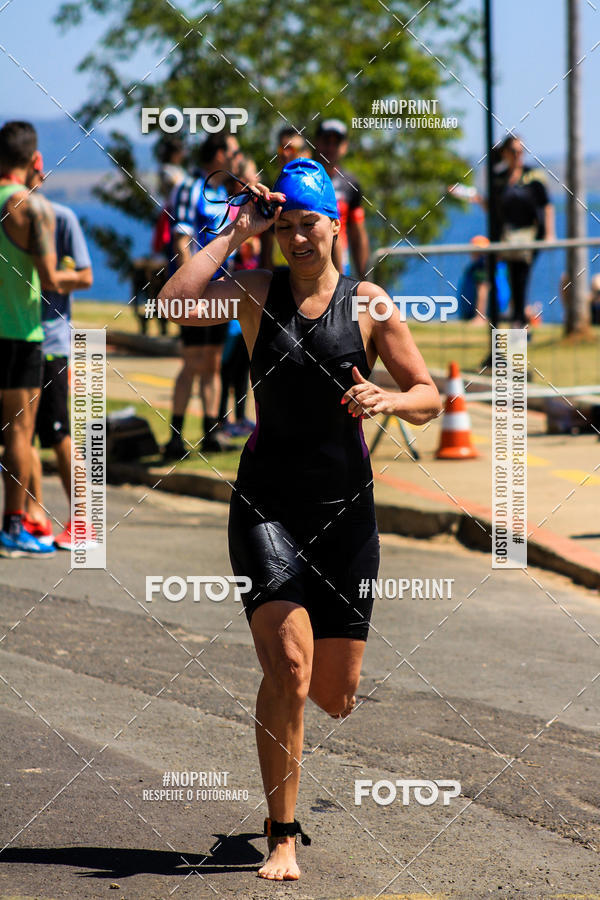 Buy your photos of the eventWolf Series - Botucatu on Fotop