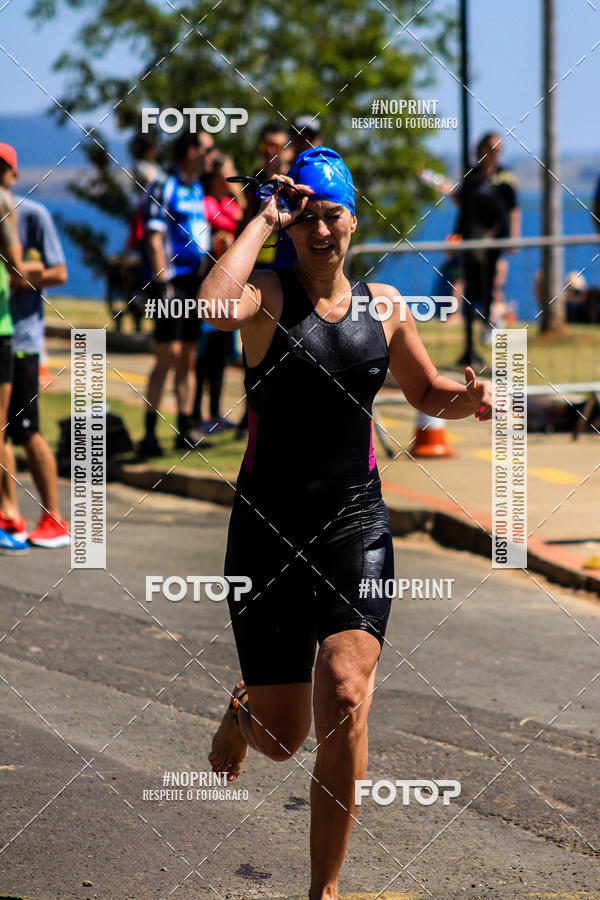 Buy your photos of the eventWolf Series - Botucatu on Fotop