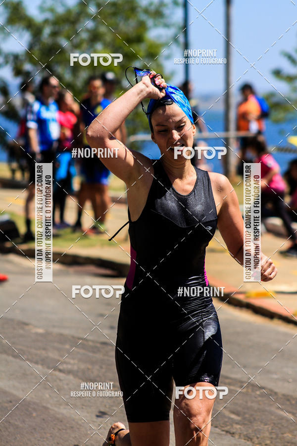 Buy your photos of the eventWolf Series - Botucatu on Fotop