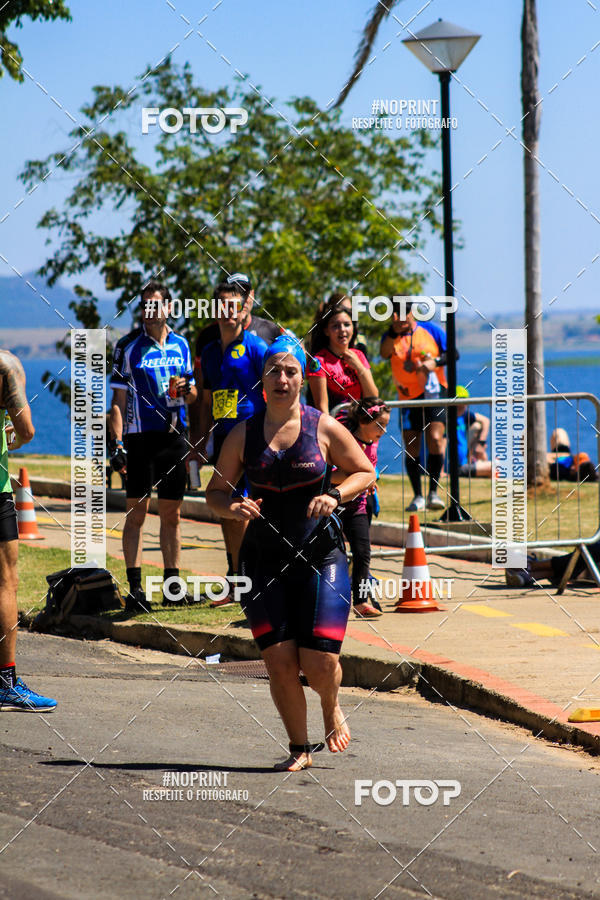 Buy your photos of the eventWolf Series - Botucatu on Fotop