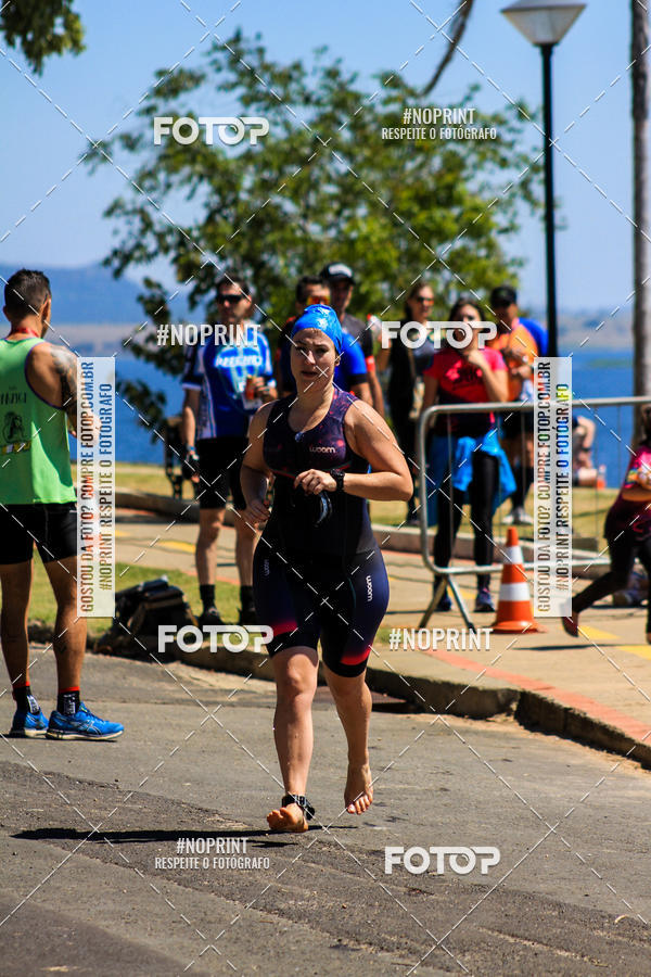 Buy your photos of the eventWolf Series - Botucatu on Fotop