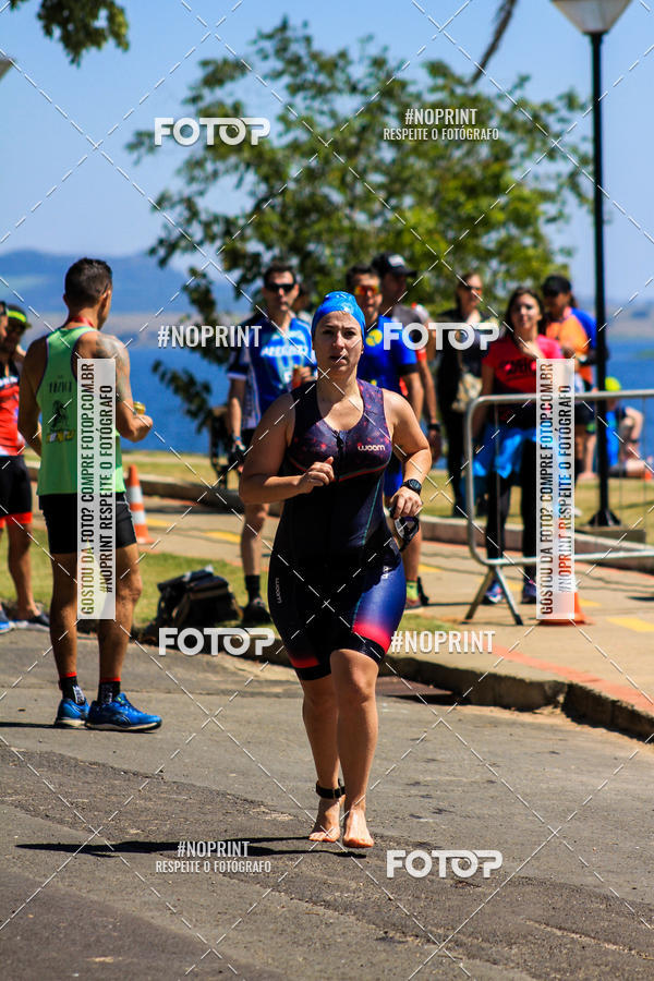 Buy your photos of the eventWolf Series - Botucatu on Fotop