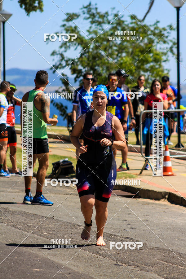 Buy your photos of the eventWolf Series - Botucatu on Fotop