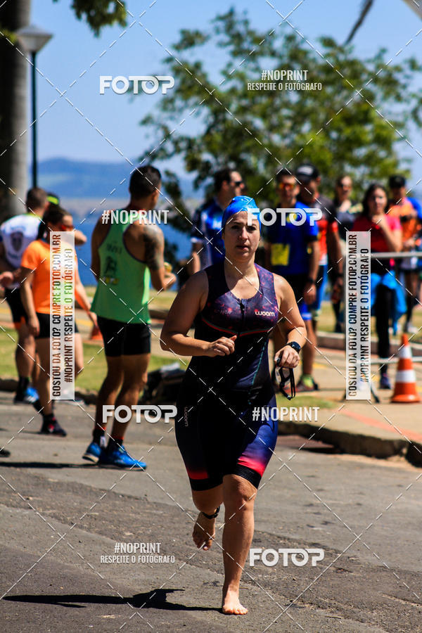 Buy your photos of the eventWolf Series - Botucatu on Fotop