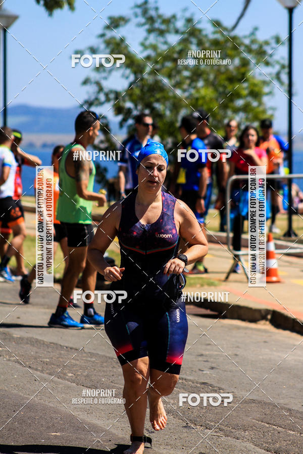 Buy your photos of the eventWolf Series - Botucatu on Fotop