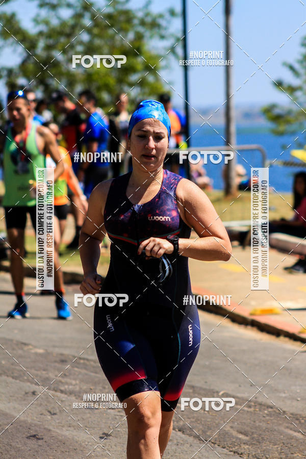 Buy your photos of the eventWolf Series - Botucatu on Fotop