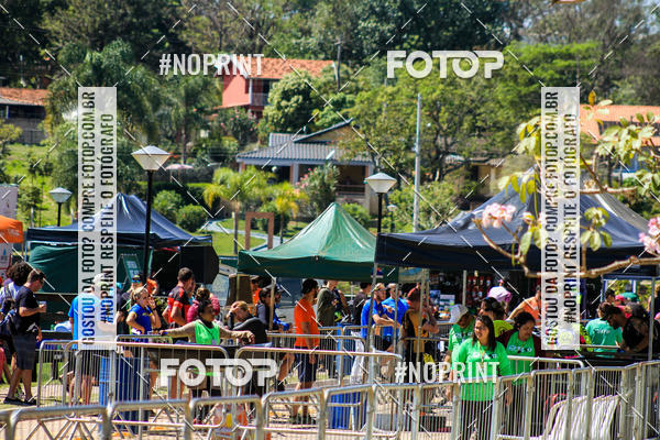 Buy your photos of the eventWolf Series - Botucatu on Fotop