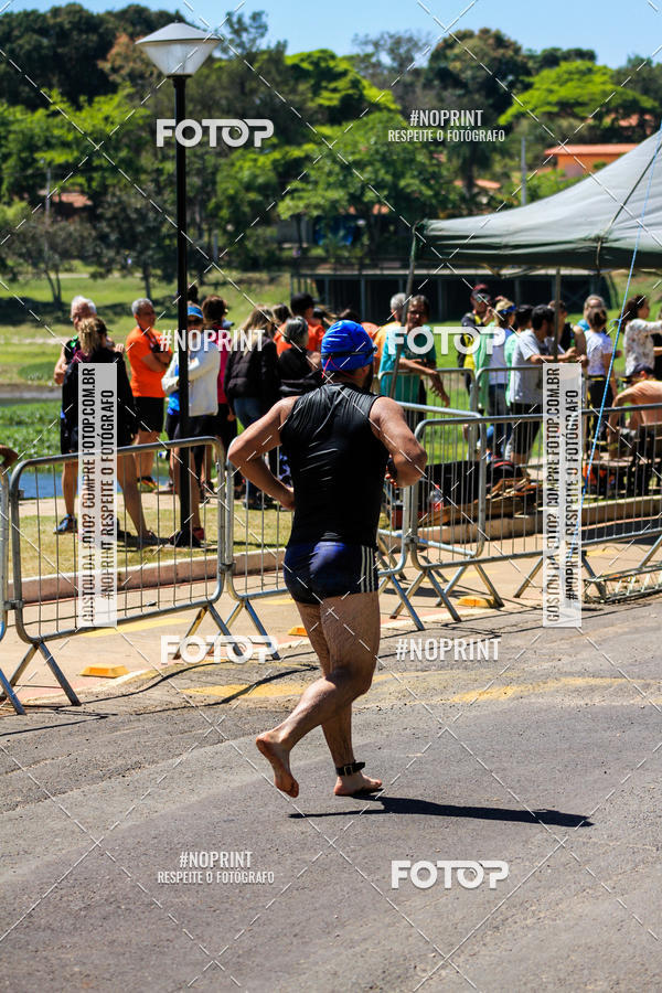 Buy your photos of the eventWolf Series - Botucatu on Fotop