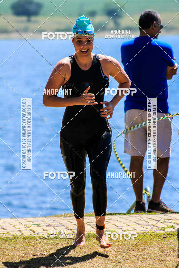 Buy your photos of the eventWolf Series - Botucatu on Fotop