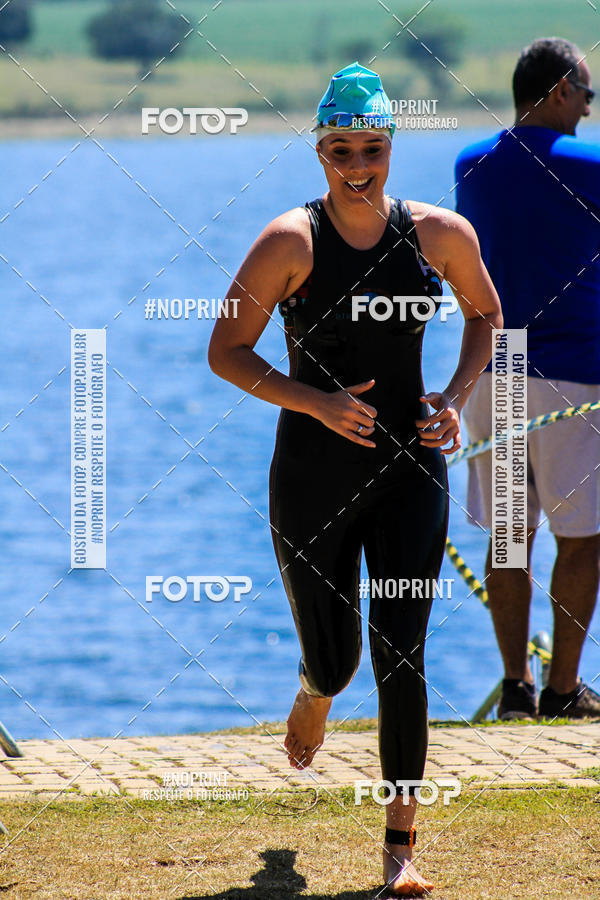 Buy your photos of the eventWolf Series - Botucatu on Fotop