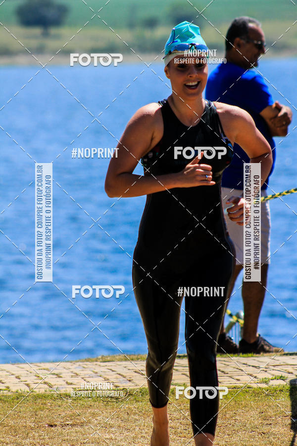 Buy your photos of the eventWolf Series - Botucatu on Fotop