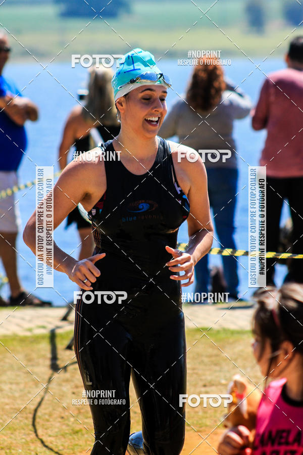 Buy your photos of the eventWolf Series - Botucatu on Fotop