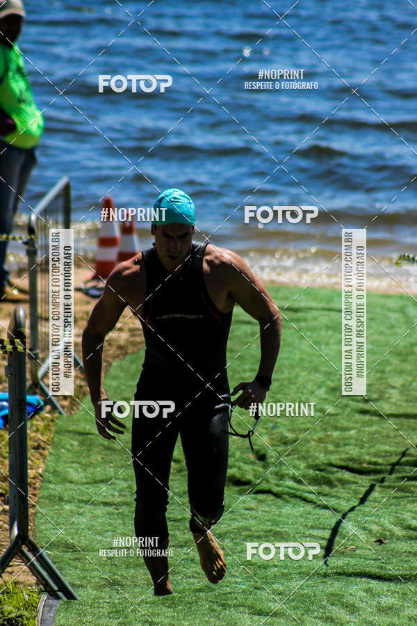 Buy your photos of the eventWolf Series - Botucatu on Fotop