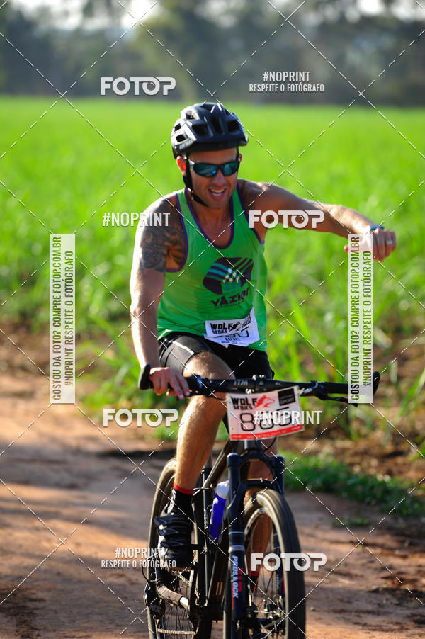 Buy your photos of the eventWolf Series - Botucatu on Fotop