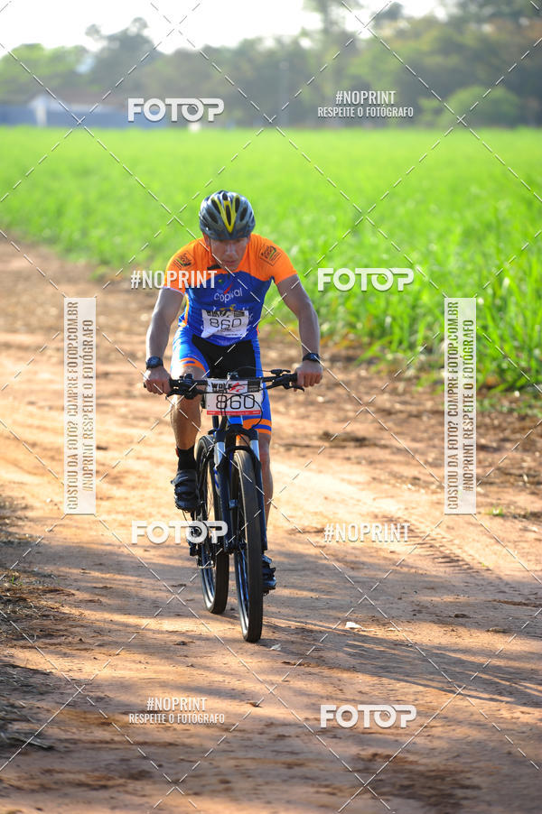 Buy your photos of the eventWolf Series - Botucatu on Fotop