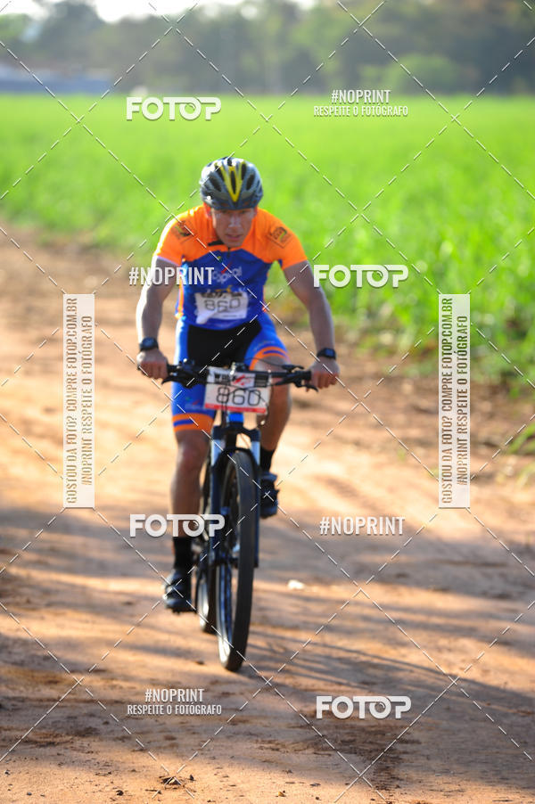 Buy your photos of the eventWolf Series - Botucatu on Fotop