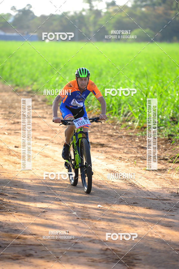 Buy your photos of the eventWolf Series - Botucatu on Fotop