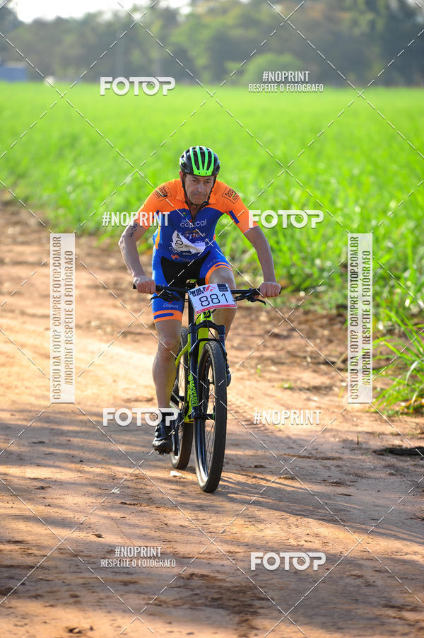 Buy your photos of the eventWolf Series - Botucatu on Fotop