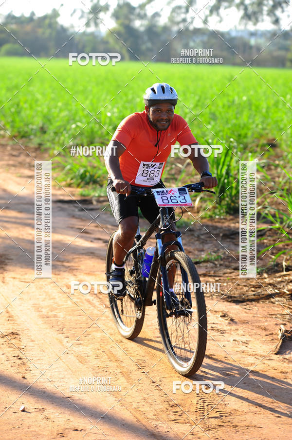 Buy your photos of the eventWolf Series - Botucatu on Fotop