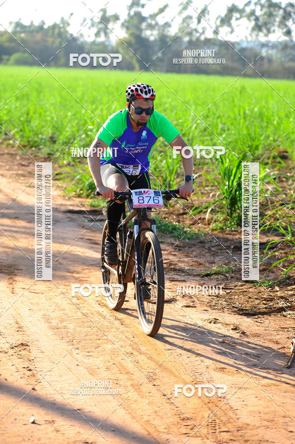 Buy your photos of the eventWolf Series - Botucatu on Fotop