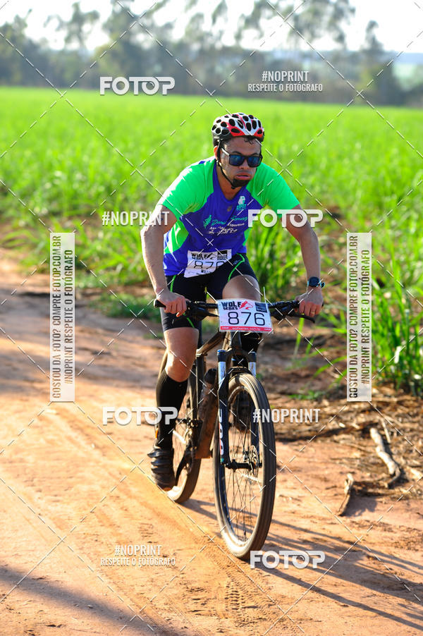 Buy your photos of the eventWolf Series - Botucatu on Fotop