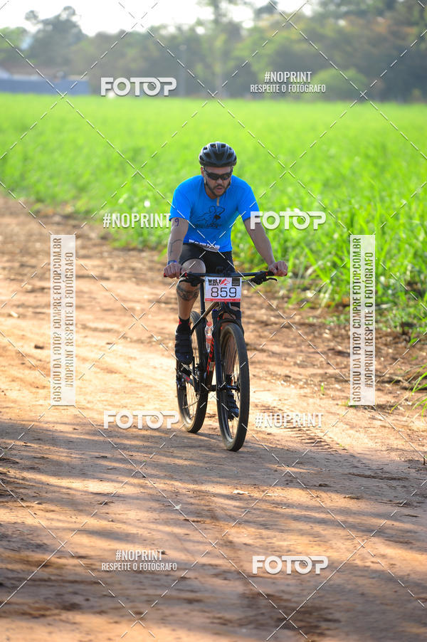 Buy your photos of the eventWolf Series - Botucatu on Fotop