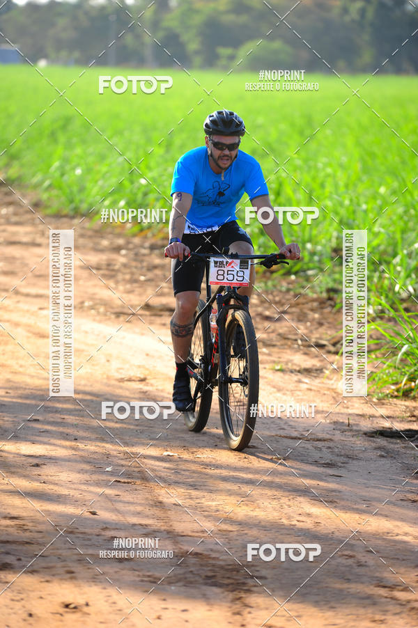 Buy your photos of the eventWolf Series - Botucatu on Fotop