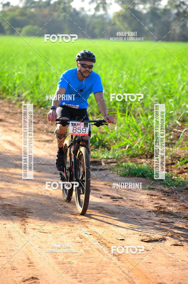Buy your photos of the eventWolf Series - Botucatu on Fotop