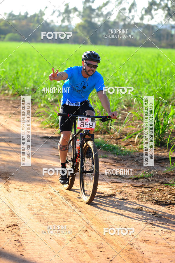 Buy your photos of the eventWolf Series - Botucatu on Fotop