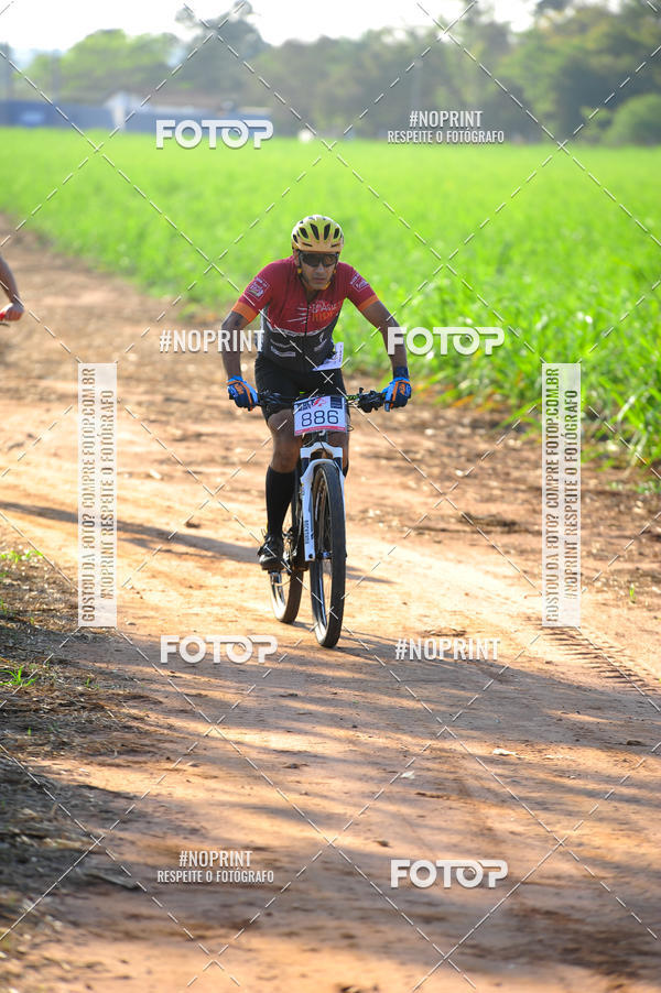 Buy your photos of the eventWolf Series - Botucatu on Fotop